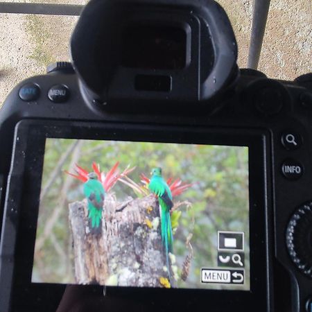 Cabana Anturios サンホセ エクステリア 写真