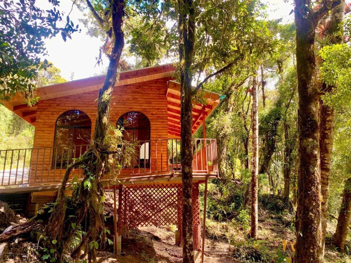 Cabana Anturios サンホセ エクステリア 写真